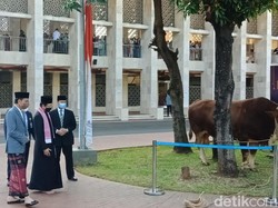 Usai Salat Id, Jokowi Cek Sapi Kurban di Masjid Istiqlal