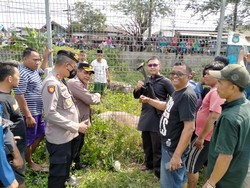 Detik-detik Kerbau di Tangerang Ngamuk Lalu Kabur hingga Ditembak Petugas