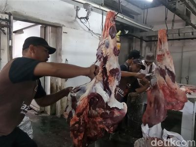 Melihat Aktivitas Pemotongan Hewan Kurban di RPH Denpasar