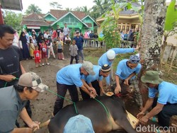 6 Sunah yang Dianjurkan Saat Menyembelih Hewan Kurban