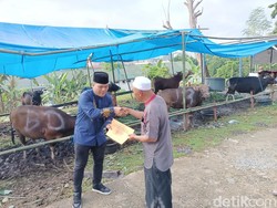 Napi di Samarinda Kurban 10 Sapi untuk Dibagikan ke Masyarakat