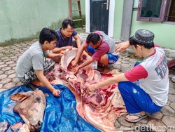 Pemkab Asahan Siapkan 8.200 Bungkus Daging Kurban