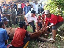 Pj Gubernur Banten Potong 10 Hewan Kurban, Salah Satunya Milik Jokowi