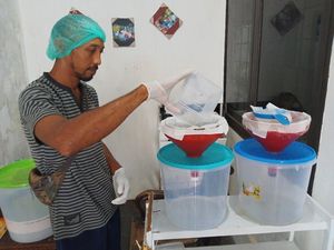 Bisnis Minyak Kelapa di Denpasar Raup Untung Rp 6 Juta Per Bulan Bisnis Minyak Kelapa di Denpasar Raup Untung Rp 6 Juta Per Bulan