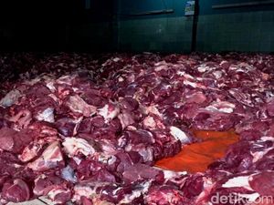 74 Sapi-229 Kambing Kurban Dusun Krajan Banjarnegara Jadi 9.000 Bungkus Daging