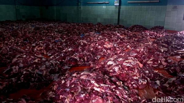 Aula Penuh Tumpukan Daging Kurban di Dusun Krajan Banjarnegara