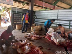 Pemotongan Hewan Kurban di RPH Kota Pasuruan Meningkat Saat Wabah PMK