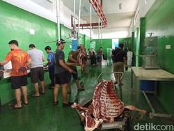 Layanan di RPH Makassar Butuh Pembenahan, Lantai Pemotongan Disorot