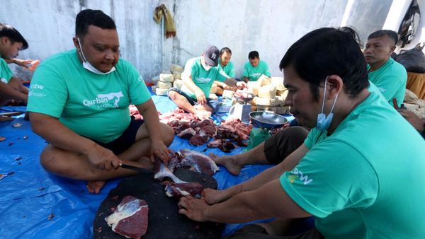 Tebar Hewan Kurban ke Pelosok Negeri