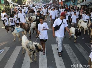 Tradisi Warga Malang Arak Hewan Kurban Sebelum Disembelih