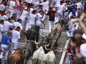 Kisah Lari Bersama Banteng di Spanyol yang Mematikan juga Agung Kisah Lari Bersama Banteng di Spanyol yang Mematikan juga Agung