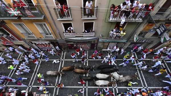 Uji Nyali Lari dari Kejaran Banteng di Festival San Fermin Spanyol