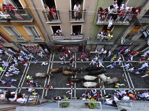 Uji Nyali Lari dari Kejaran Banteng di Festival San Fermin Spanyol Uji Nyali Lari dari Kejaran Banteng di Festival San Fermin Spanyol
