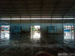 Nelayan Tak Melaut gegara Solar Mahal, TPI Juwana Sepi Bongkar Ikan