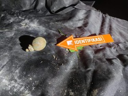 Benda Mirip Granat Hebohkan Warga di Bogor, Ternyata Bandulan Hiasan