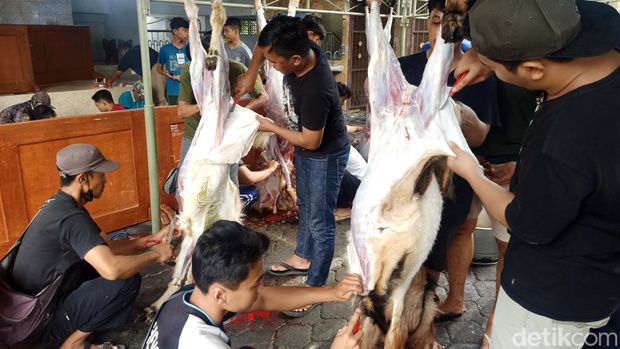 Pemotongan hewan kurban dilakukan di kantor LDII Bali, Minggu (10/7). Usai pemotongan panitia membagikan daging kurban pada masyarakat lintas agama.
