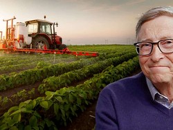 Bill Gates Sebut Elon Musk Banyak Omong, tapi Kurang Bicara soal Iklim