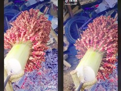 Kreatif! Pria Ini Bakar Ratusan Sate Sekaligus Pakai Gedebog Pisang