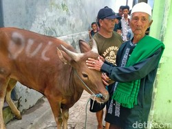 Kisah Lansia Loper Koran di Banyuwangi 4 Tahun Menabung Demi Kurban Sapi