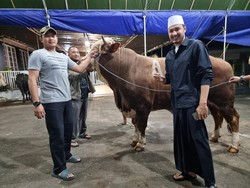 Habib Usman bin Yahya Potong 21 Sapi, Banyak Kurban Titipan Nama Besar