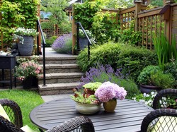 5 Cara Menghias Halaman Rumah Agar Tampak Indah & Hidup