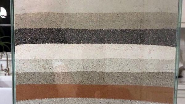 10 Barang Paling Aneh yang Dikoleksi Manusia, Daun Hingga Gigi Hiu