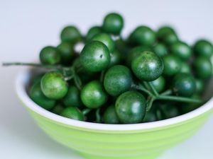 9 Manfaat Leunca Beserta Kandungan dan Cara Mengolahnya