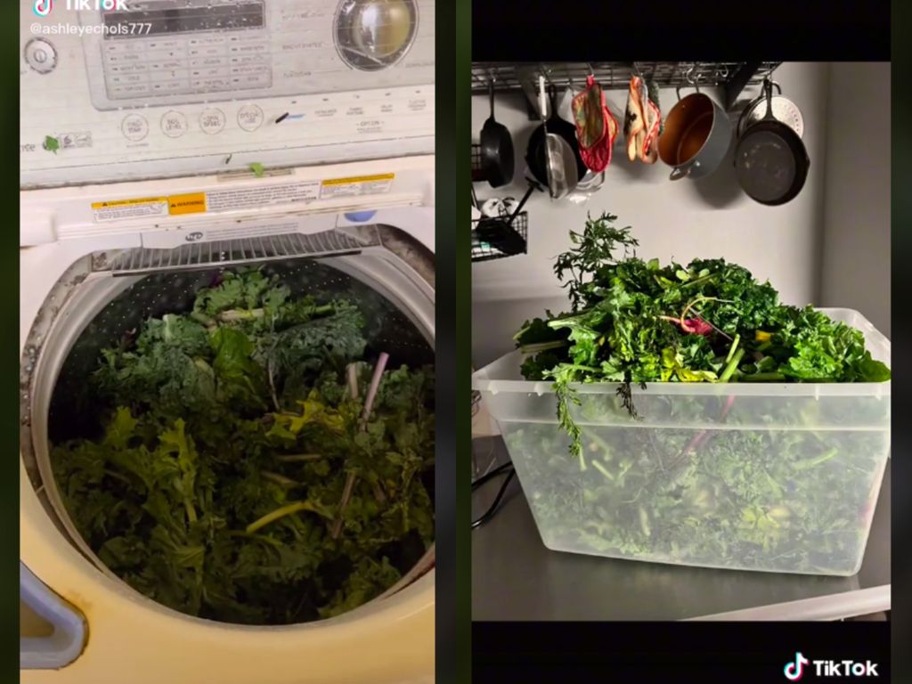 Bagikan Trik Cuci Sayuran Pakai Mesin Cuci, Wanita Ini Dihujat Netizen