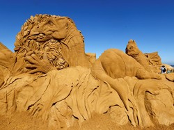 Jejak Penemuan Fosil Dinosaurus Berlapis Baja di Argentina