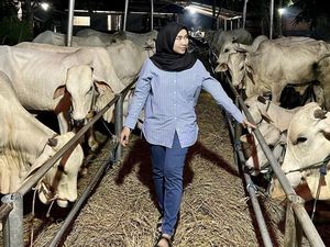 Dapat Rekor Muri Kurban Terbanyak, Ini Harapan Istri Putra Siregar Dapat Rekor Muri Kurban Terbanyak, Ini Harapan Istri Putra Siregar