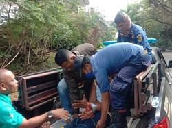 Damkar Pakai Jaring-Tambang Evakuasi ODGJ di Sentul, Prosesnya 2 Jam