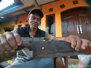 Pisau Rajang yang Haluskan Tembakau Sumedang Pisau Rajang yang Haluskan Tembakau Sumedang