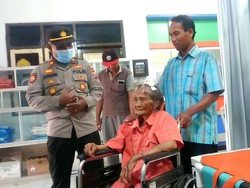 Pohon Tumbang Timpa Rumah Warga Trenggalek, Seorang Nenek Luka