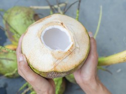 7 Manfaat Air Kelapa Muda, Cocok Diminum Setiap Hari