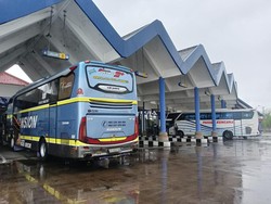 Jalur Denpasar-Gilimanuk Lumpuh, Bus AKAP Dialihkan Lewat Singaraja