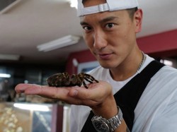 Aktor Ini Rela Pegang Tarantula Demi Anaknya Senang