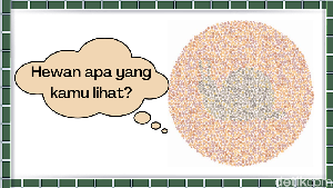 Uji Ketahanan Saraf Mata, Bisa Lihat Hewan Apa di Gambar Ini?