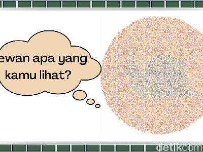 Uji Ketahanan Saraf Mata, Bisa Lihat Hewan Apa di Gambar Ini?