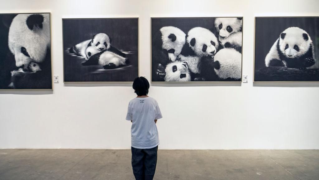 Kreasi Seni Bertema Panda Ini Kerennya Kebangetan!