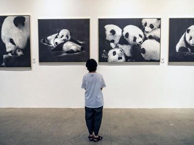 Kreasi Seni Bertema Panda Ini Kerennya Kebangetan!