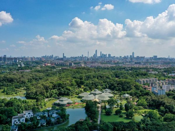 Usai Wisata Belanja di Guangzhou, Pas Banget Singgah di Kebun Raya Nasional