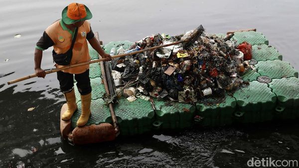 Petugas Bersihkan Kali Ancol dari Sampah Plastik