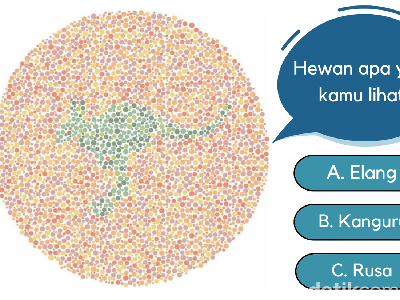Tebak-tebakan untuk Melatih Kekuatan Saraf Mata, Cobain Yuk!