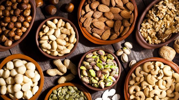 Ilustrasi biji-bijian dan kacang-kacangan