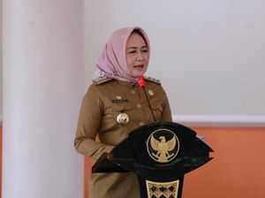 Bupati Tulang Bawang Harap Komisi IV DPR Serap Aspirasi Warganya