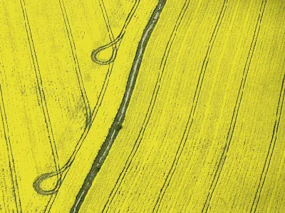 Deretan Foto Drone Bertema Ladang Bunga yang Bikin Melotot
