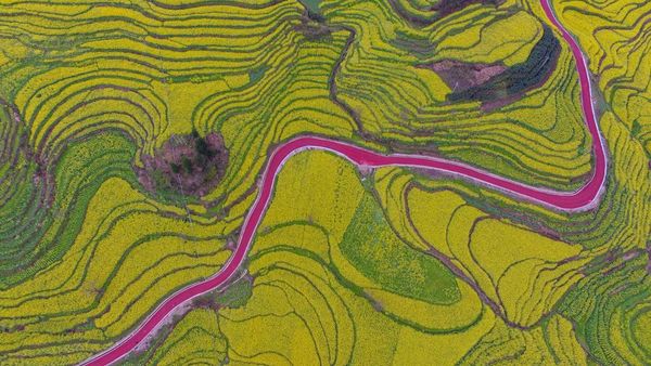 Ini Foto Terasering Sungguhan Bukan Lukisan, No 7 Kece juga