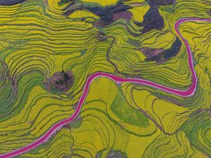 Ini Foto Terasering Sungguhan Bukan Lukisan, No 7 Kece juga