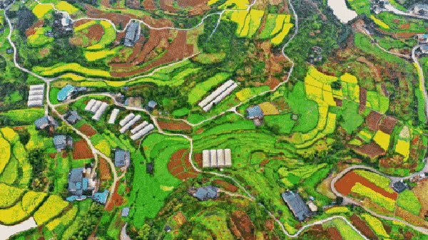 Deretan Lansekap Terasering yang Bikin Susah Move On