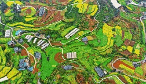 Deretan Lansekap Terasering yang Bikin Susah Move On